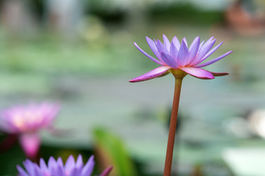 Similar image 21756136