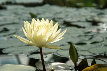 Similar image 21756141