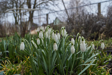 Similar image 21748308