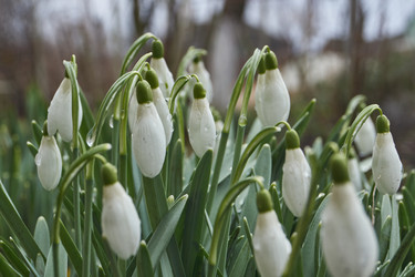 Similar image 21748309