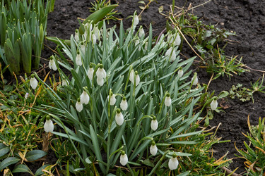 Similar image 21748310