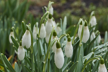 Similar image 21748312