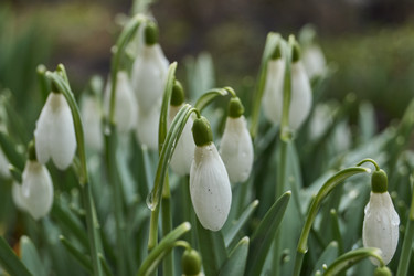 Similar image 21748314