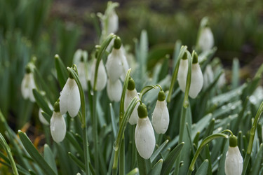 Similar image 21748316