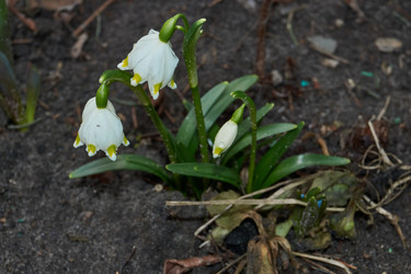 Similar image 21748318