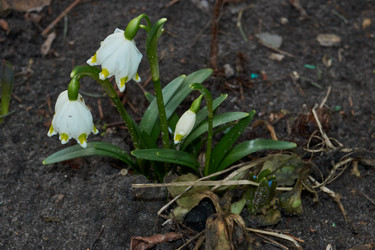 Similar image 21748319