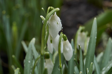 Similar image 21748320