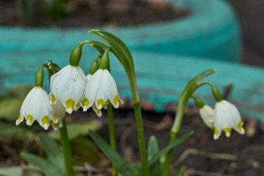 Similar image 21748321