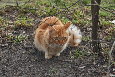 Similar image 21748322