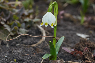 Similar image 21748324