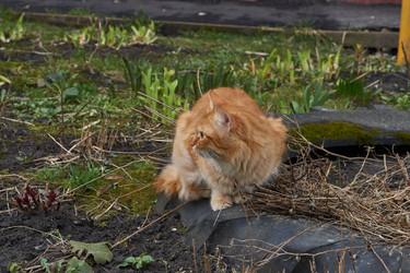 Similar image 21748325