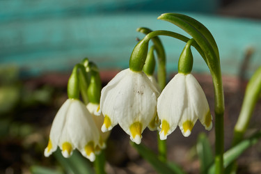 Similar image 21748326