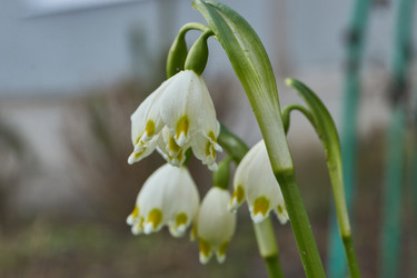 Similar image 21748327