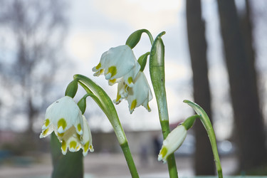 Similar image 21748328