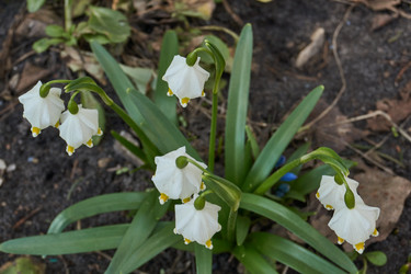 Similar image 21748329