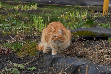 Similar image 21748331