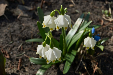 Similar image 21748332