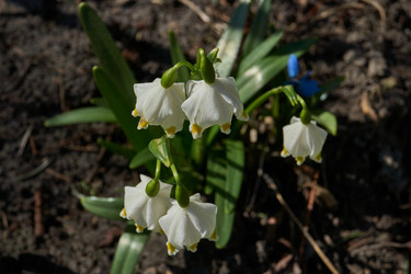 Similar image 21748335