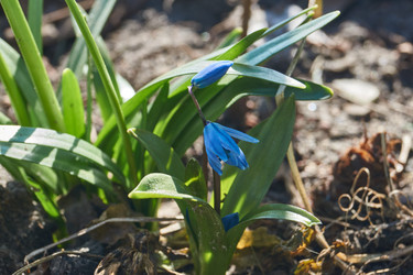 Similar image 21748336