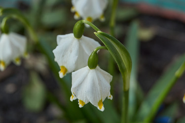 Similar image 21748337