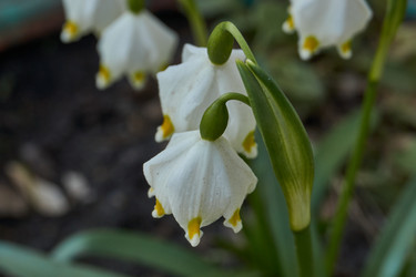 Similar image 21748338