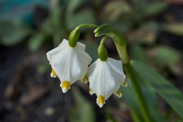 Similar image 21748339