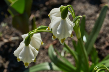 Similar image 21748343