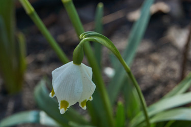 Similar image 21748344