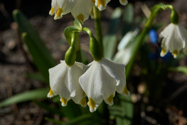 Similar image 21748345