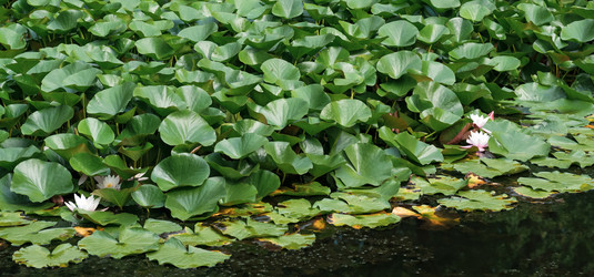 Similar image 21748347