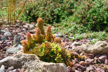 Similar image 21748350