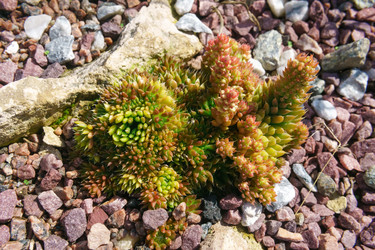 Similar image 21748740