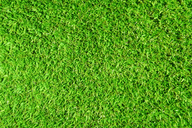 Similar image 21748742