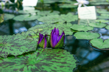 Similar image 21748744