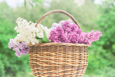 Similar image 21752436