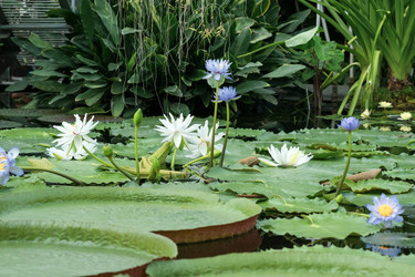 Similar image 21752442