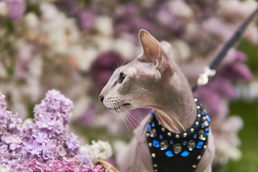 Similar image 21753016