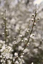 Similar image 21760310