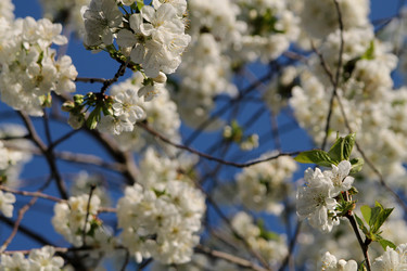 Similar image 21760311