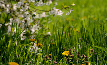 Similar image 21760313