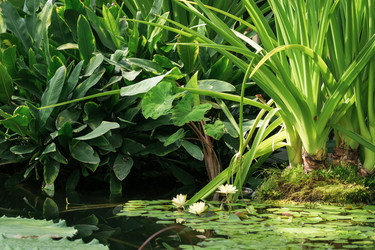 Similar image 21753667