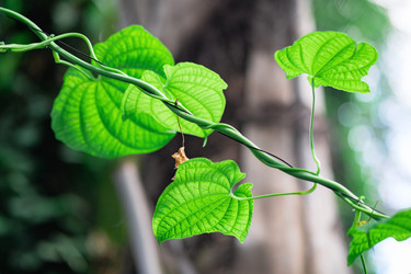 Similar image 21753673