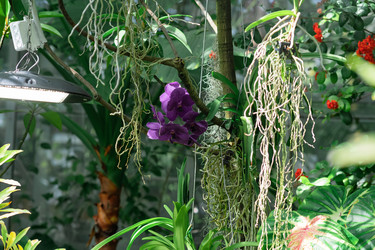 Similar image 21753883