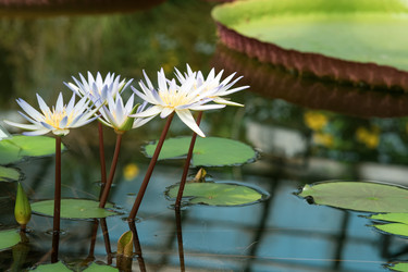 Similar image 21753886