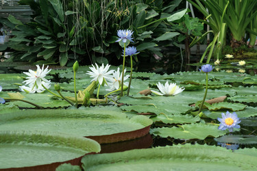 Similar image 21754075