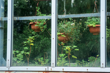 Similar image 21754076