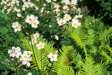 Similar image 21754080