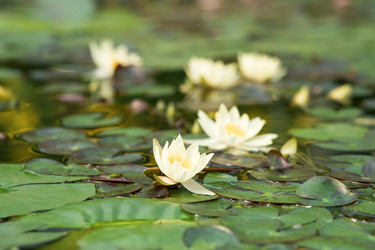 Similar image 21754278