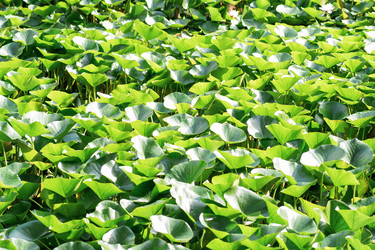 Similar image 21754282