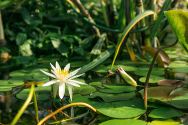 Similar image 21754284